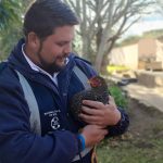 Explore careers in animal welfare in South Africa and learn how professionals at the NSPCA protect animals through skilled, meaningful work.