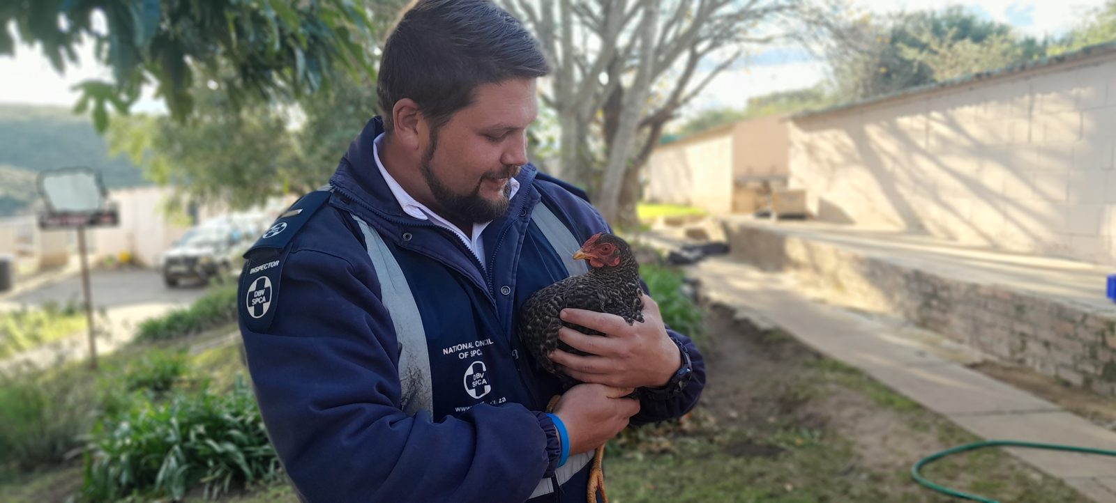 Explore careers in animal welfare in South Africa and learn how professionals at the NSPCA protect animals through skilled, meaningful work.
