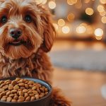 Discover why ostrich is an ideal novel protein for dogs with food sensitivities, plus feeding tips and a simple frozen dog treat recipe.