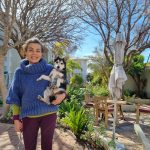Discover dog-friendly holiday accommodation across South Africa, from beach escapes to Karoo retreats, perfect for travelling with pets.