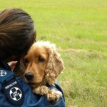 Animal cruelty videos are spreading fast on South African social media. The NSPCA explains why sharing abuse causes harm.