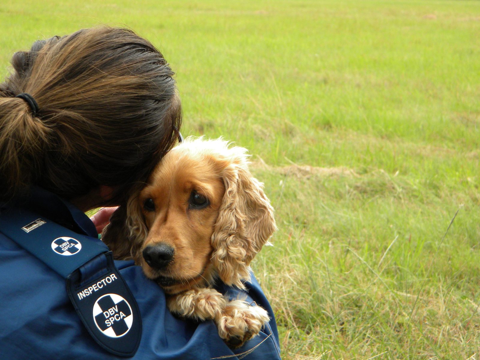 Animal cruelty videos are spreading fast on South African social media. The NSPCA explains why sharing abuse causes harm.