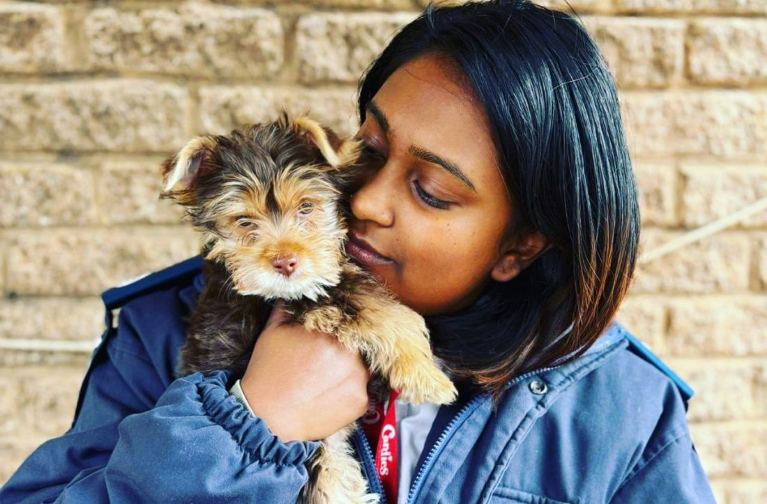 Facing financial strain and cannot care for your pet? Learn safe, compassionate options and how the NSPCA can help protect your animal.