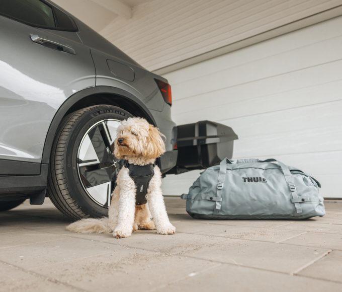 Thule Cappy is a crash-tested dog car harness designed for safe, comfortable travel. Built for active lifestyles and pet-friendly adventures.