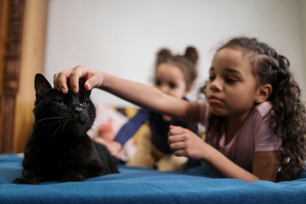 There’s something truly special about the way our pets become part of the family.