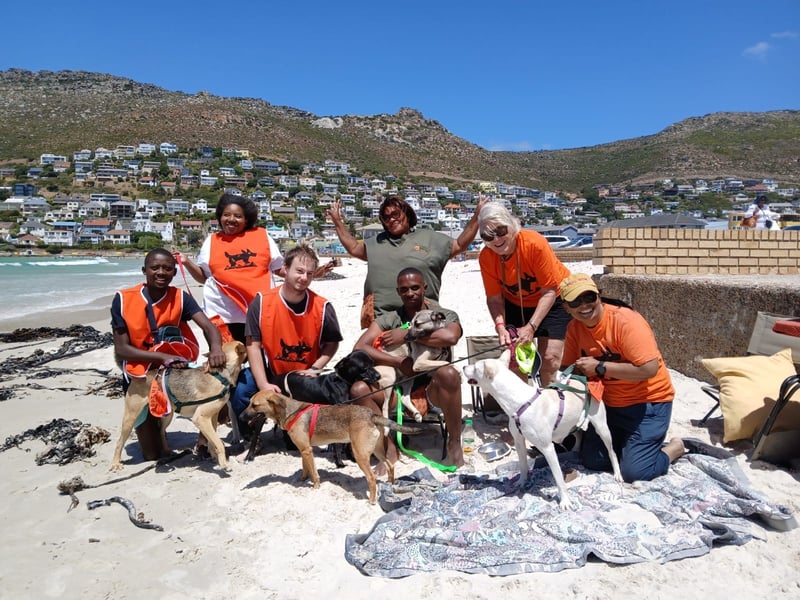 Mdzananda launches Wags and Waves, monthly beach days in Cape Town giving shelter dogs social time and adoption exposure.