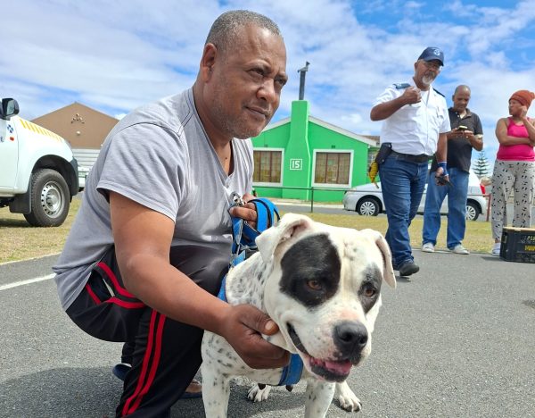 Following the fatal dog attack in Beacon Valley, the SPCA and City of Cape Town conducted a door-to-door outreach offering free sterilisations, education and animal welfare support.