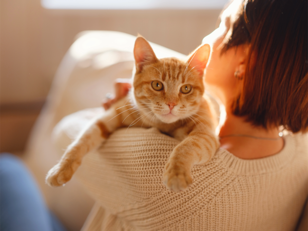 Mr D partners with Absolute Pets to deliver premium pet food, toys and grooming products nationwide via the Mr D app.