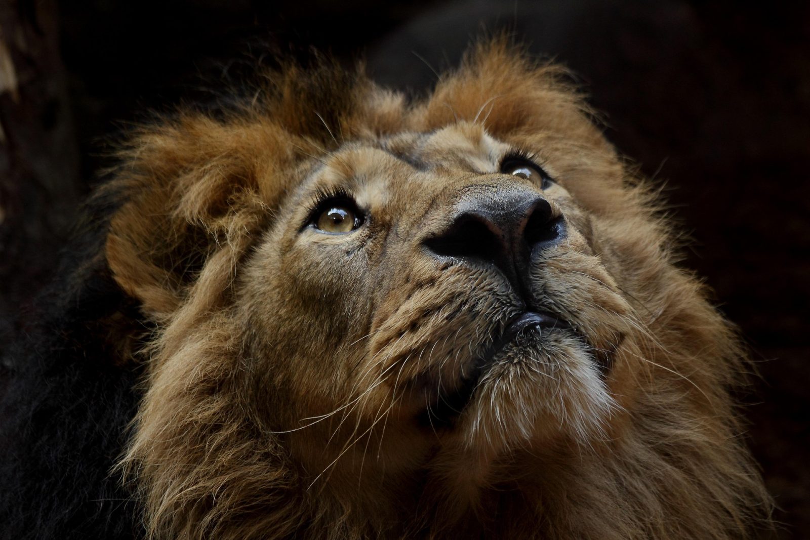 Conservation expert Shandor Larenty urges South Africans to take an active role in protecting wildlife and ecosystems.