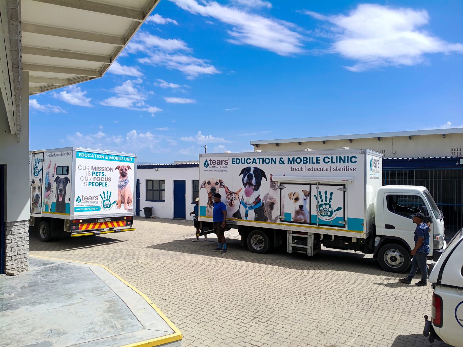 TEARS and partners sterilised 523 animals during a World Spay Day campaign to prevent pet overpopulation.