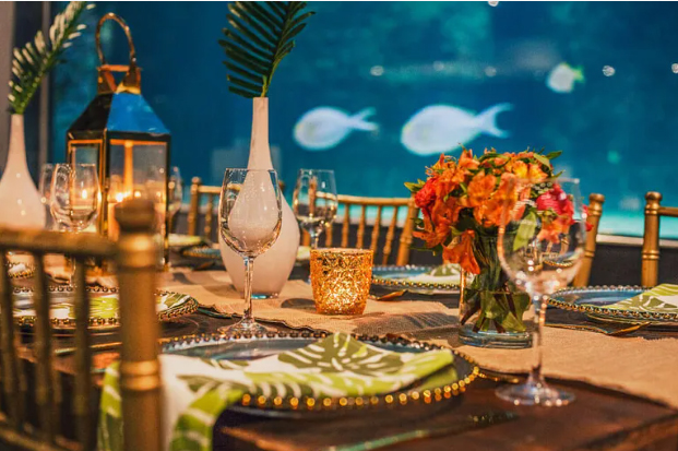 Mdzananda Animal Clinic hosts its 30-year gala dinner at the Two Oceans Aquarium on 9 May 2026. Here’s how to attend.