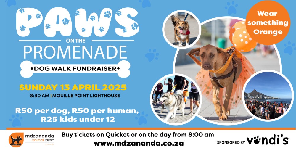 Join the Paws on the Promenade dog walk in Cape Town this April and support animal care in Khayelitsha.