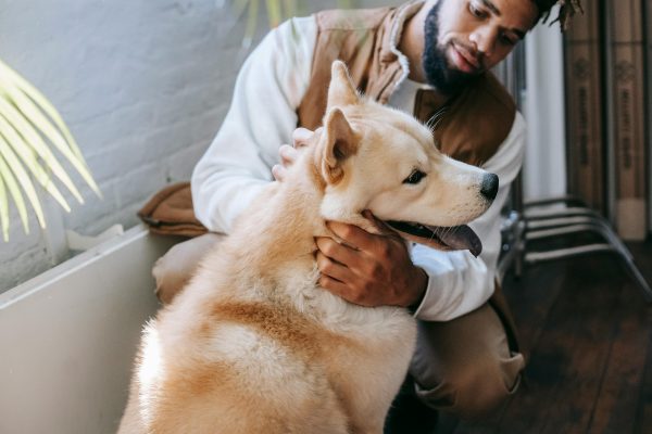 Italy allows paid leave for sick pets. Here’s how the policy works and why it matters for pet owners worldwide.