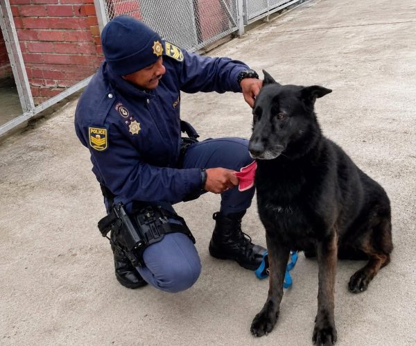 SAPS patrol dog Floppy died while tracking armed robbery suspects in Mdantsane.