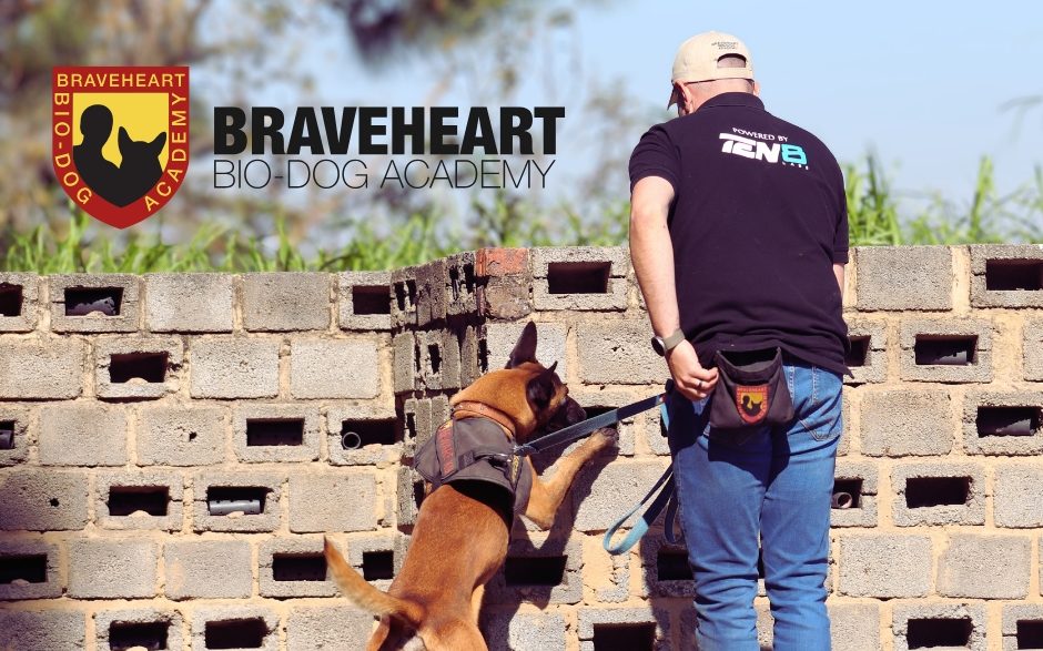 Braveheart Bio-Dog Academy offers advanced K9 training, PSIRA-accredited dog handler courses, and canine research programmes near Pretoria.