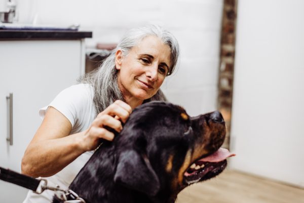 Healthy dog and cat enjoying premium pet nutrition at home.