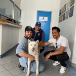 National Microchipping Month highlights the importance of microchipping pets and the incredible story of Frost, who reunited with his family after two years.