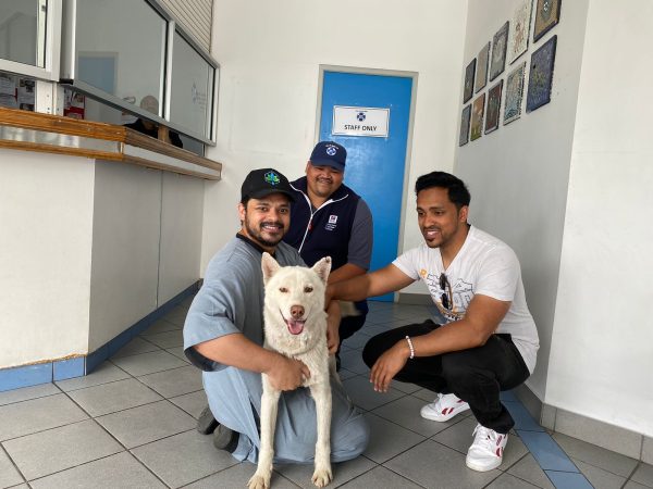 National Microchipping Month highlights the importance of microchipping pets and the incredible story of Frost, who reunited with his family after two years.