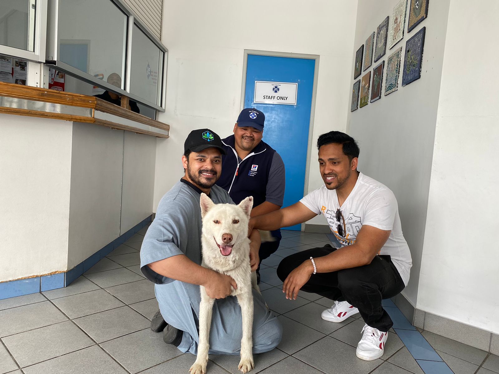 National Microchipping Month highlights the importance of microchipping pets and the incredible story of Frost, who reunited with his family after two years.