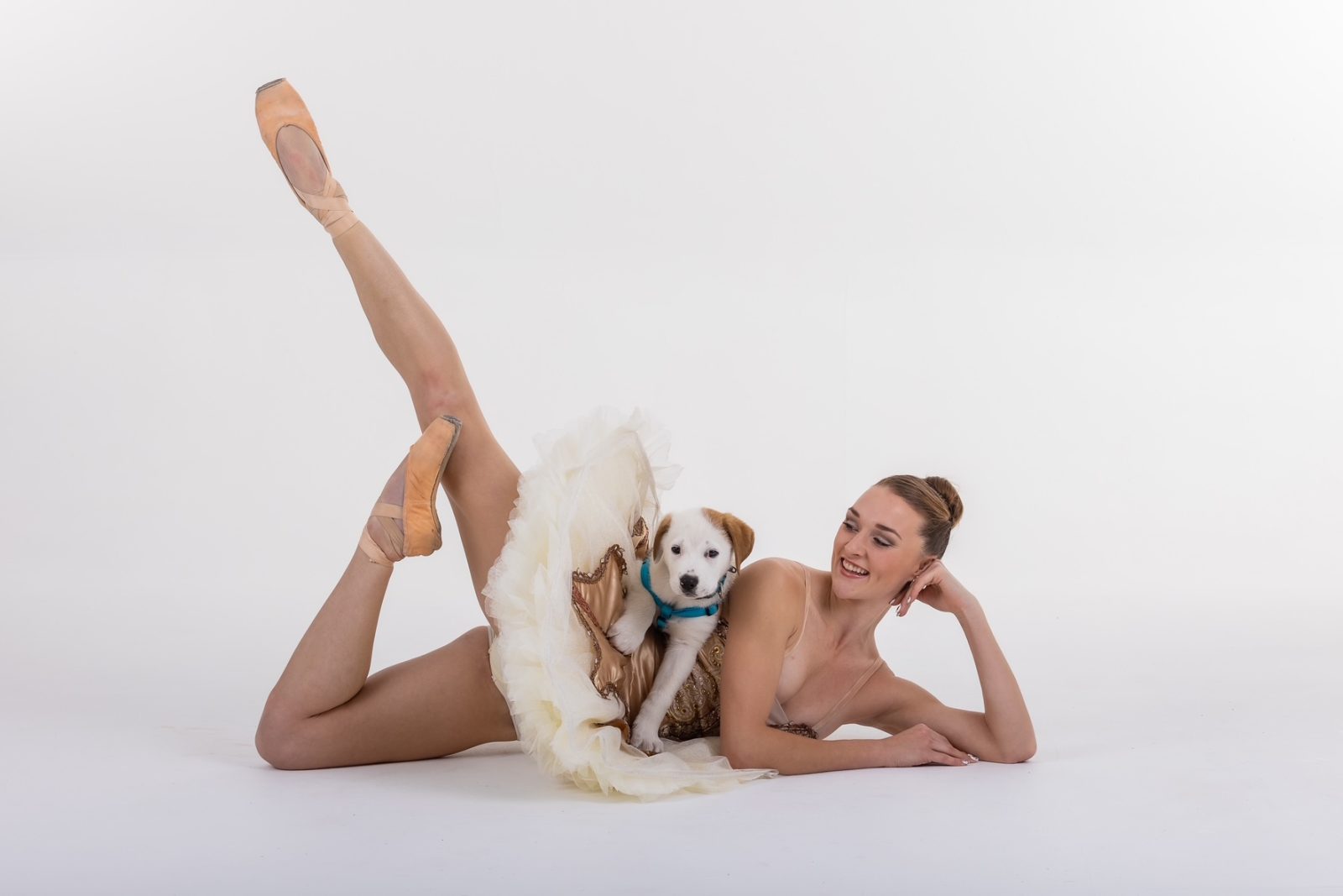 Dancers Love Dogs has funded more than 31,000 animal sterilisations across South Africa since 2011.