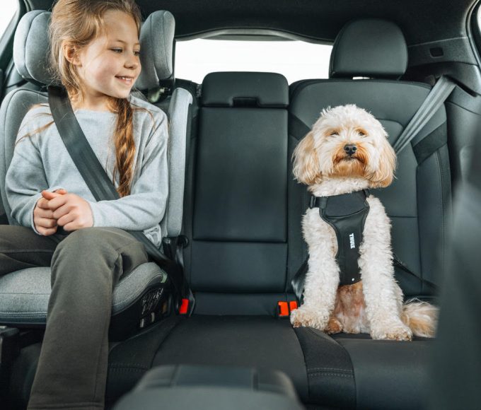 Smart packing and proper safety measures help make family road trips more comfortable and enjoyable.