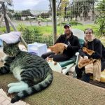 Volunteers helping clean and restore TEARS Animal Rescue during Mandela Day.