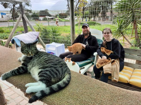 Volunteers helping clean and restore TEARS Animal Rescue during Mandela Day.