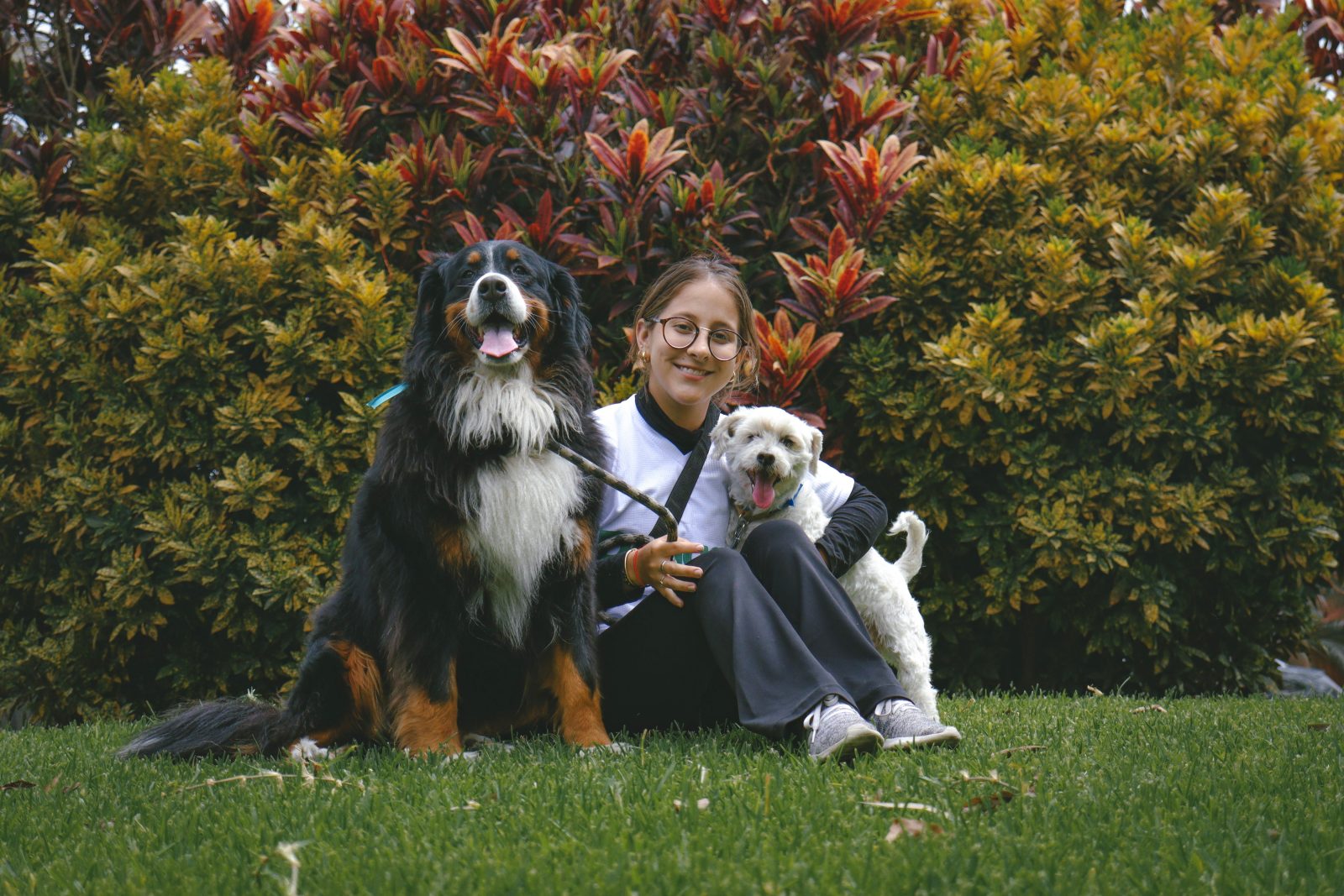 A pet sitter spending time with a dog and cat in a family home.