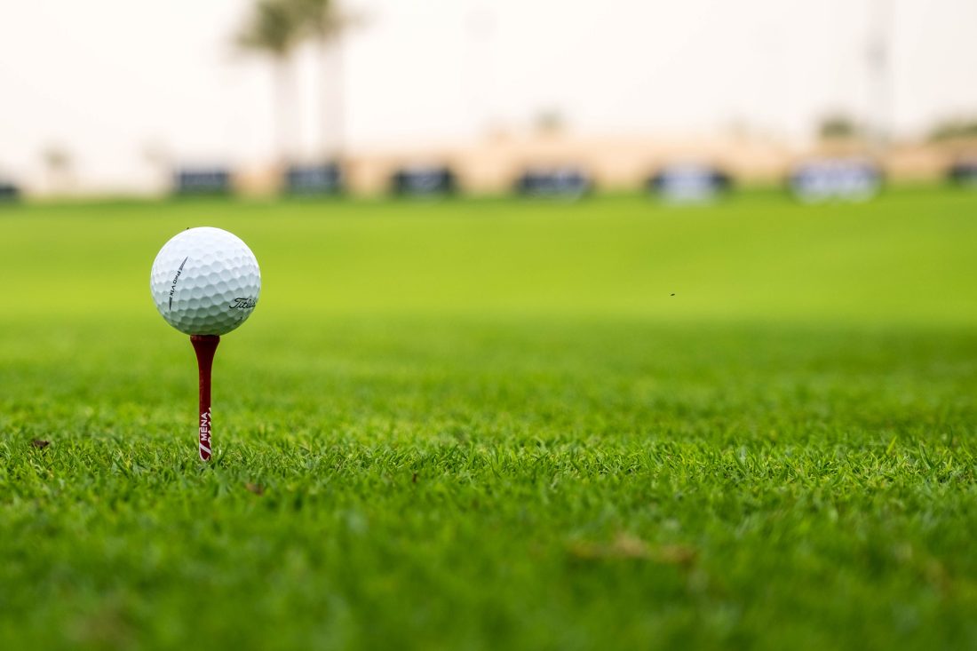 Golfers participating in the NSPCA Charity Golf Day at Benoni Country Club.