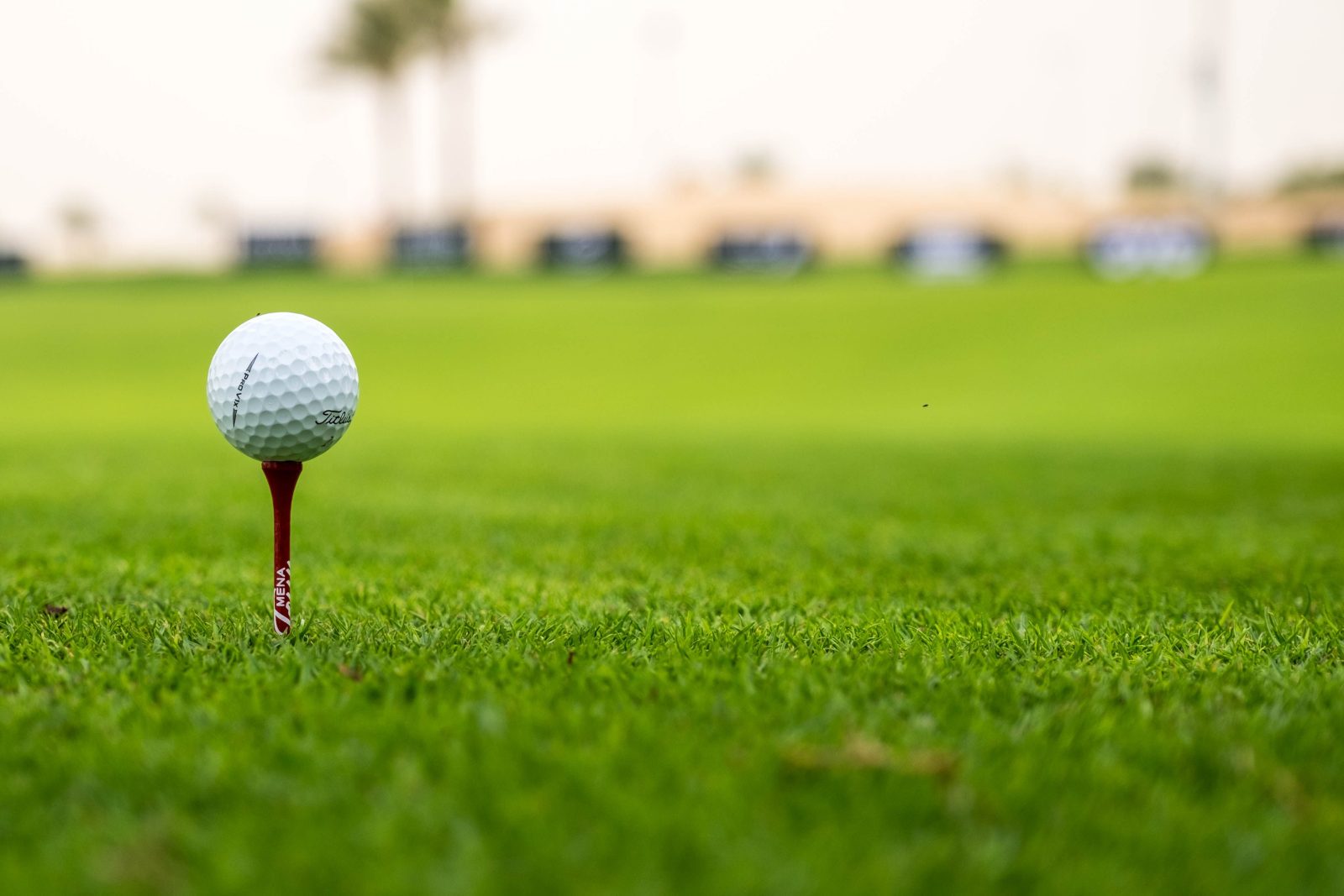 Golfers participating in the NSPCA Charity Golf Day at Benoni Country Club.