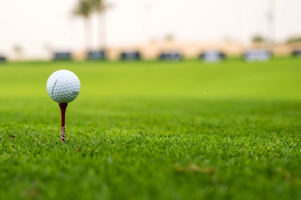 Golfers participating in the NSPCA Charity Golf Day at Benoni Country Club.