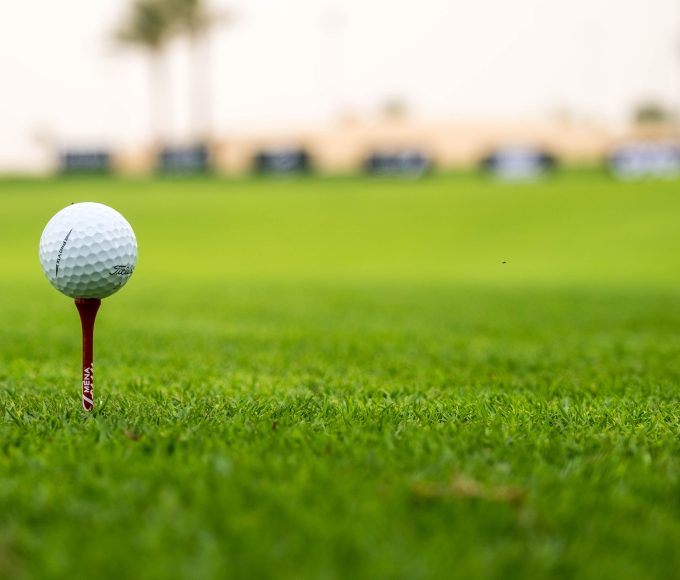 Golfers participating in the NSPCA Charity Golf Day at Benoni Country Club.