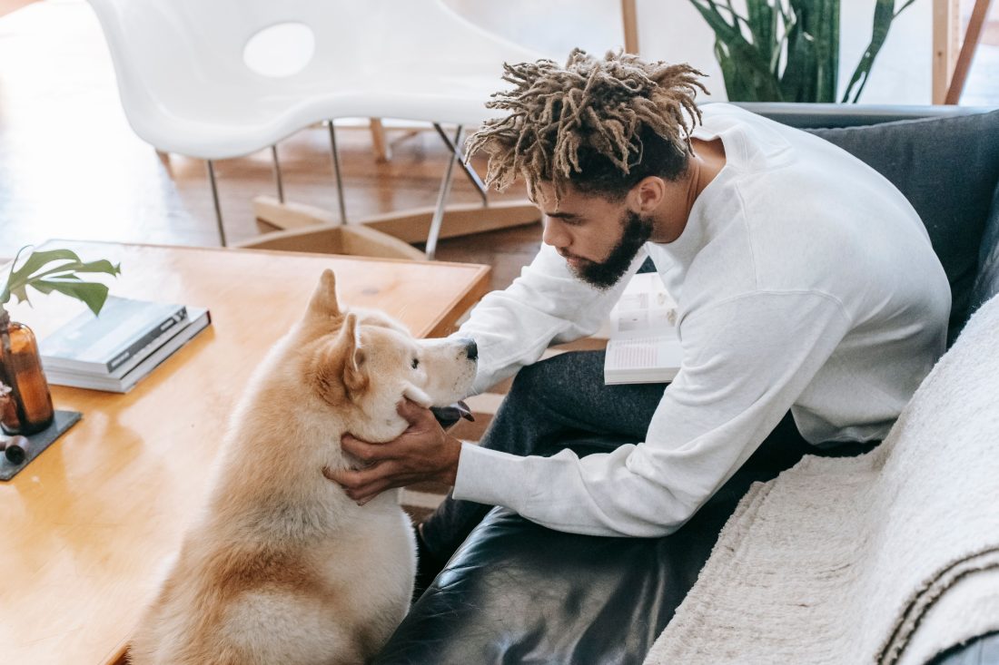 Single Person living alone relaxing at home with a pet