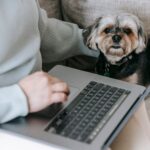 Pet owner sitting with a dog while preparing plans for the animal's future care