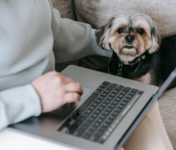 Pet owner sitting with a dog while preparing plans for the animal's future care