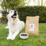 BuddyMeal Personalised Dog Food and Feeding Plans