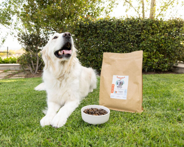 BuddyMeal Personalised Dog Food and Feeding Plans