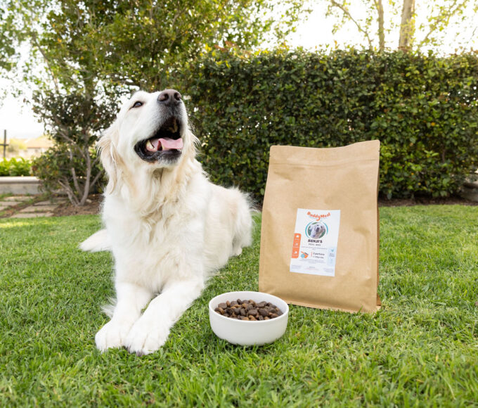 BuddyMeal Personalised Dog Food and Feeding Plans