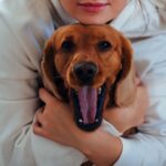 Pet owner spending quiet time with a dog while practising mindfulness