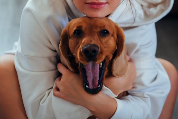 Pet owner spending quiet time with a dog while practising mindfulness